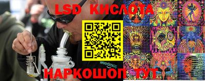 мяу мяу мука Славгород