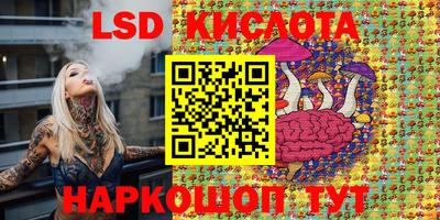 Альфа ПВП Сланцы
