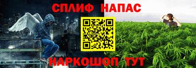 Альфа ПВП Сланцы