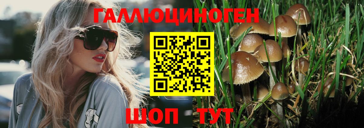 Псилоцибиновые грибы MAGIC MUSHROOMS  Вход с VPN  Топки 